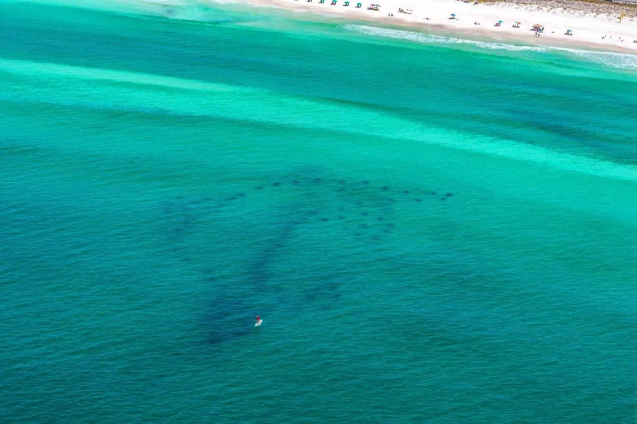 Destiny Beach Villas #20A 0*, Destin Estados Unidos da América